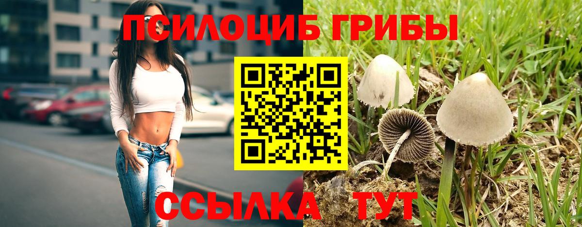 Галлюциногенные грибы ЛСД  Вход с VPN  Ачхой-Мартан 
