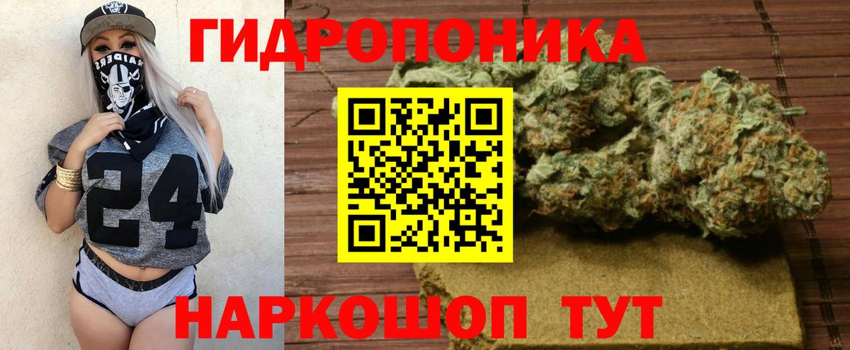 Каннабис Bruce Banner Ачхой-Мартан